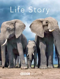 История жизни бесплатно